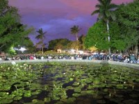 DurbanBotanic.JPG